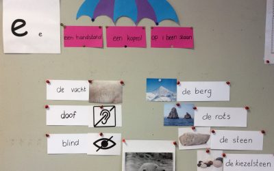 Woordenschatonderwijs, wat werkt?